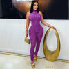 Tique jumpsuit (Purple)