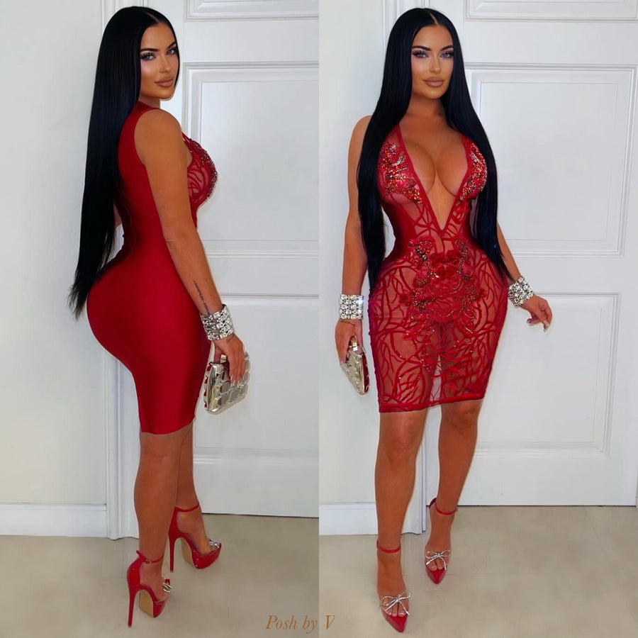 Rouge crystal embroidered dress (Red)