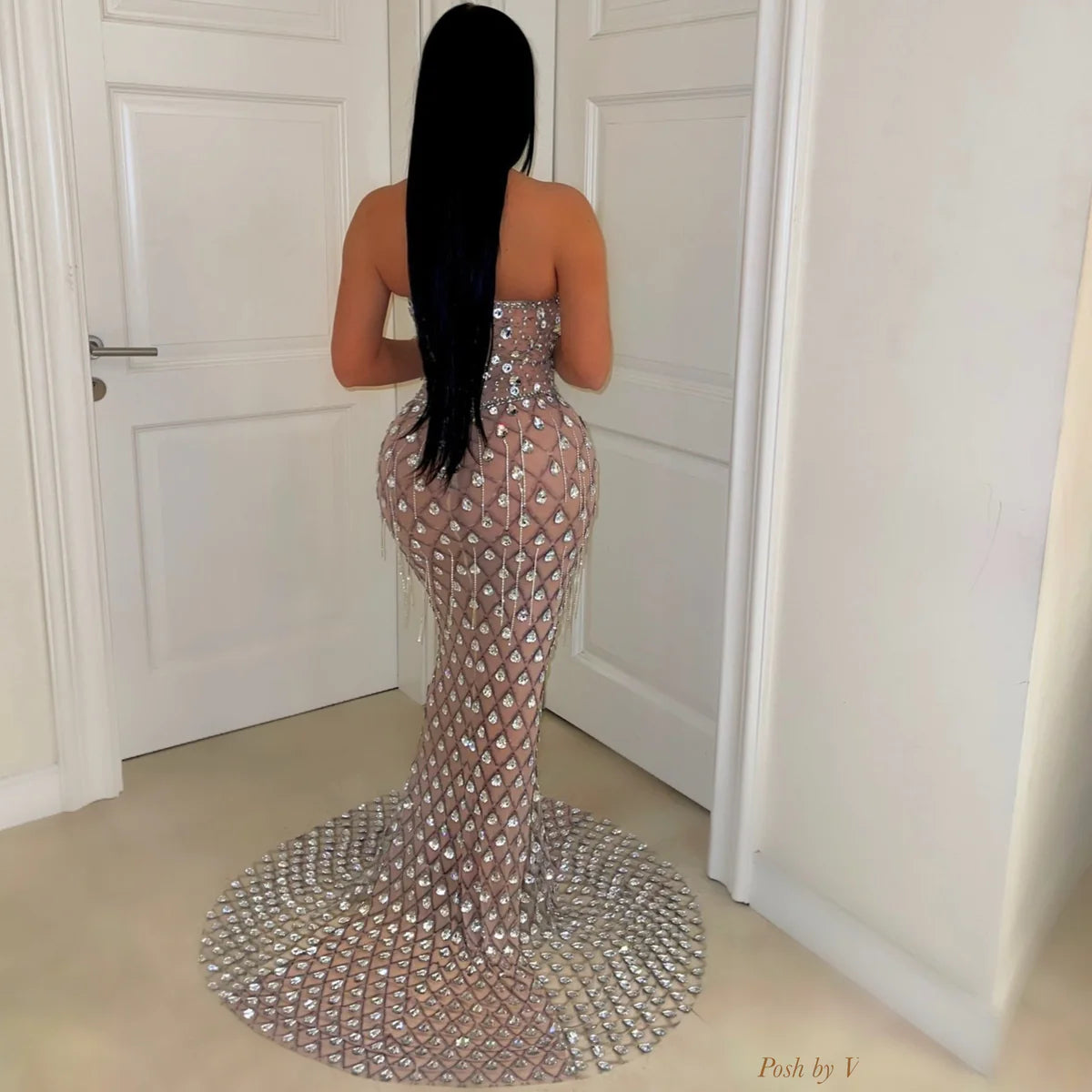 Divine mermaid crystal gown (Nude/Silver)