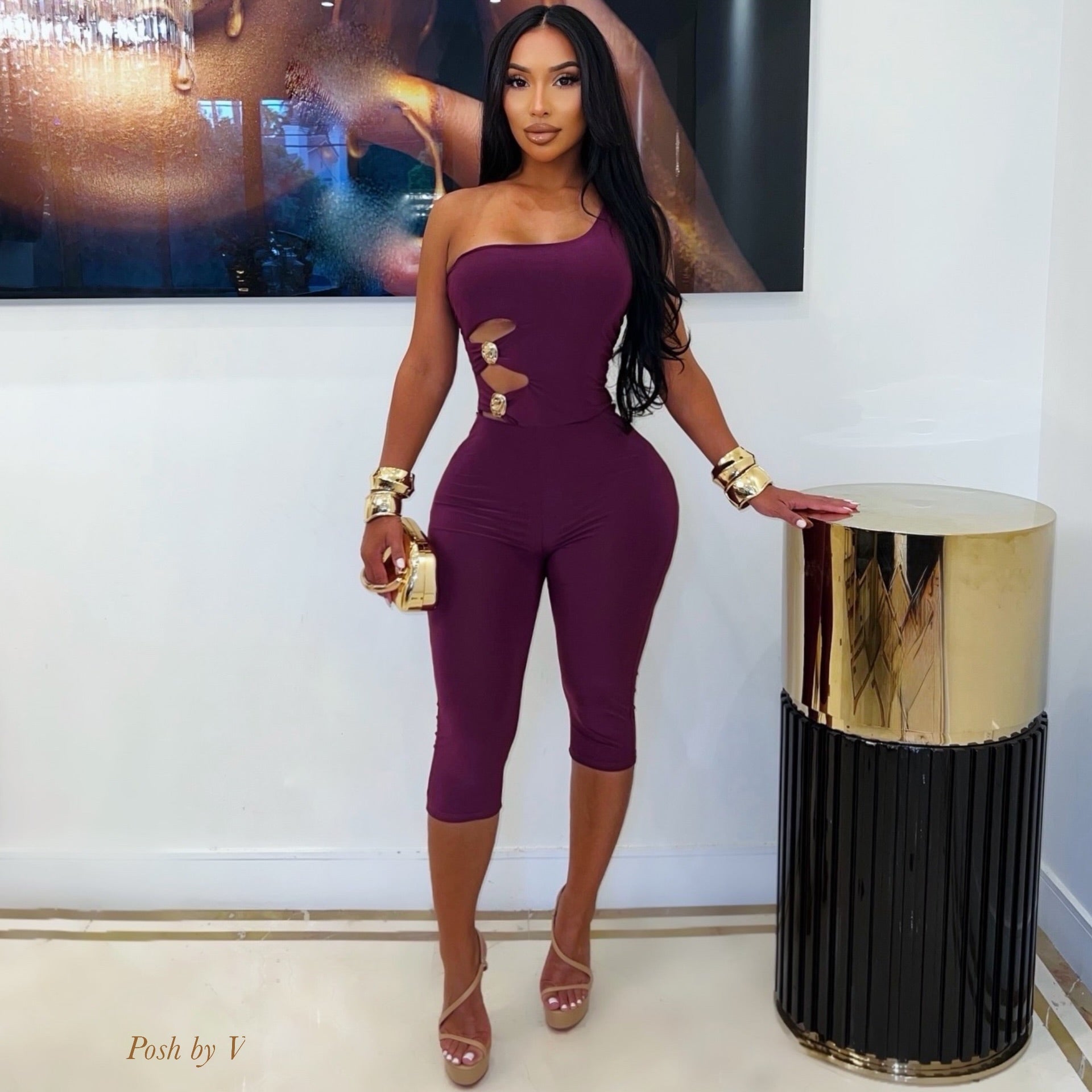 Alice bodysuit/leggings set (Plum/gold)