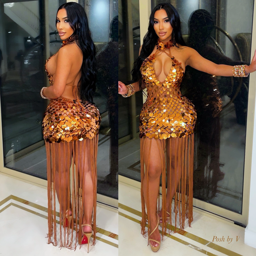 Leona fringe sequin dress (Bronze)