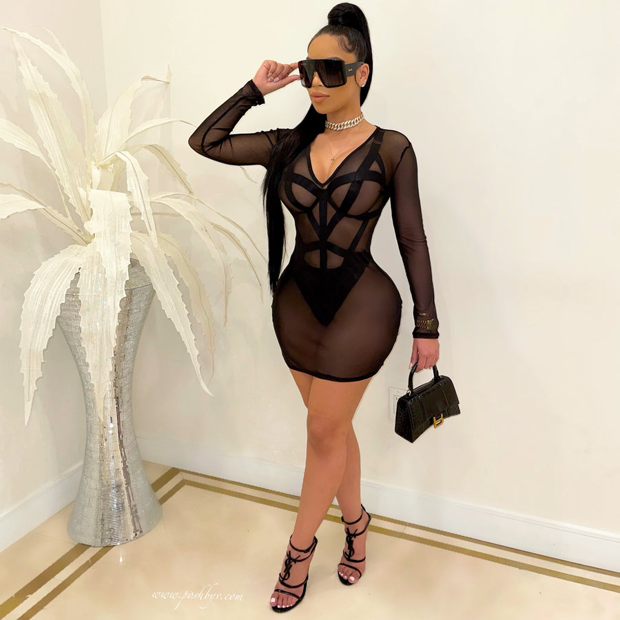 Zika mesh cover dress (Black)