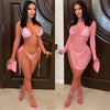 Cali mesh zip dress (Pink)
